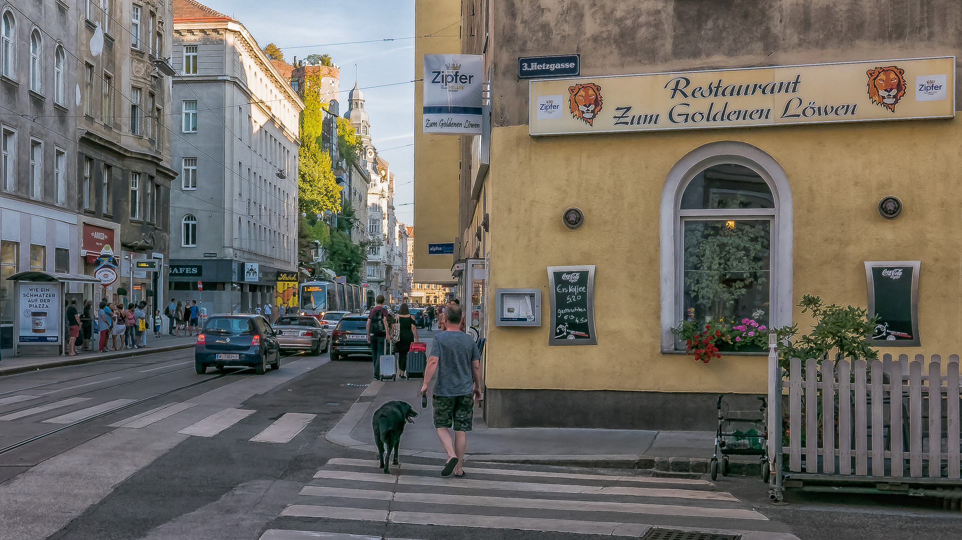 In den Straßen von Wien (452)