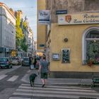 In den Straßen von Wien (452)