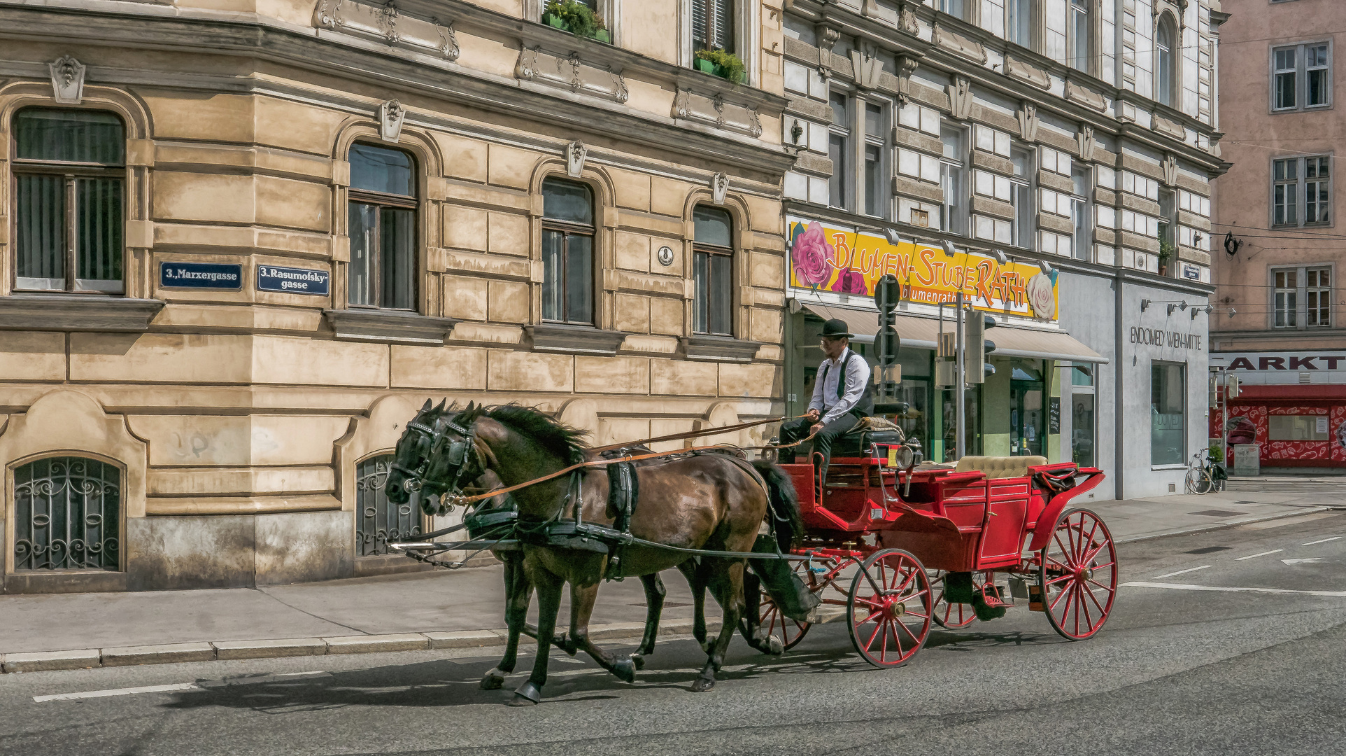 In den Straßen von Wien (458)
