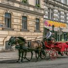 In den Straßen von Wien (458)