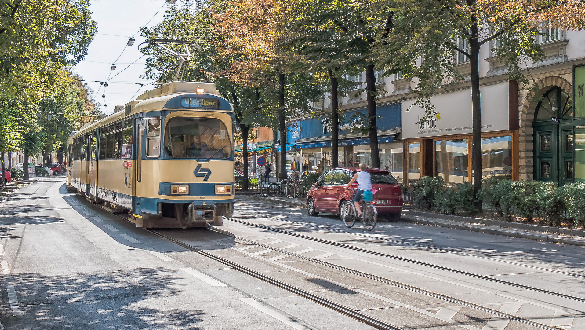 In den Straßen von Wien (466)