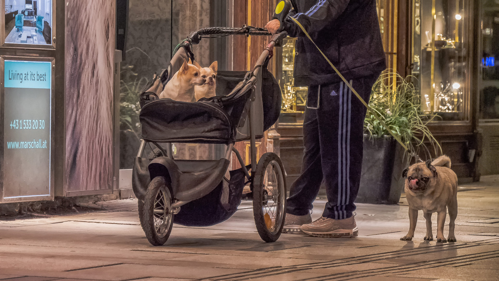 In den Straßen von Wien (478)