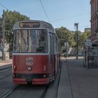 In den Straßen von Wien (483)