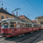 In den Straßen von Wien (489)