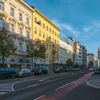 In den Straßen von Wien (58)