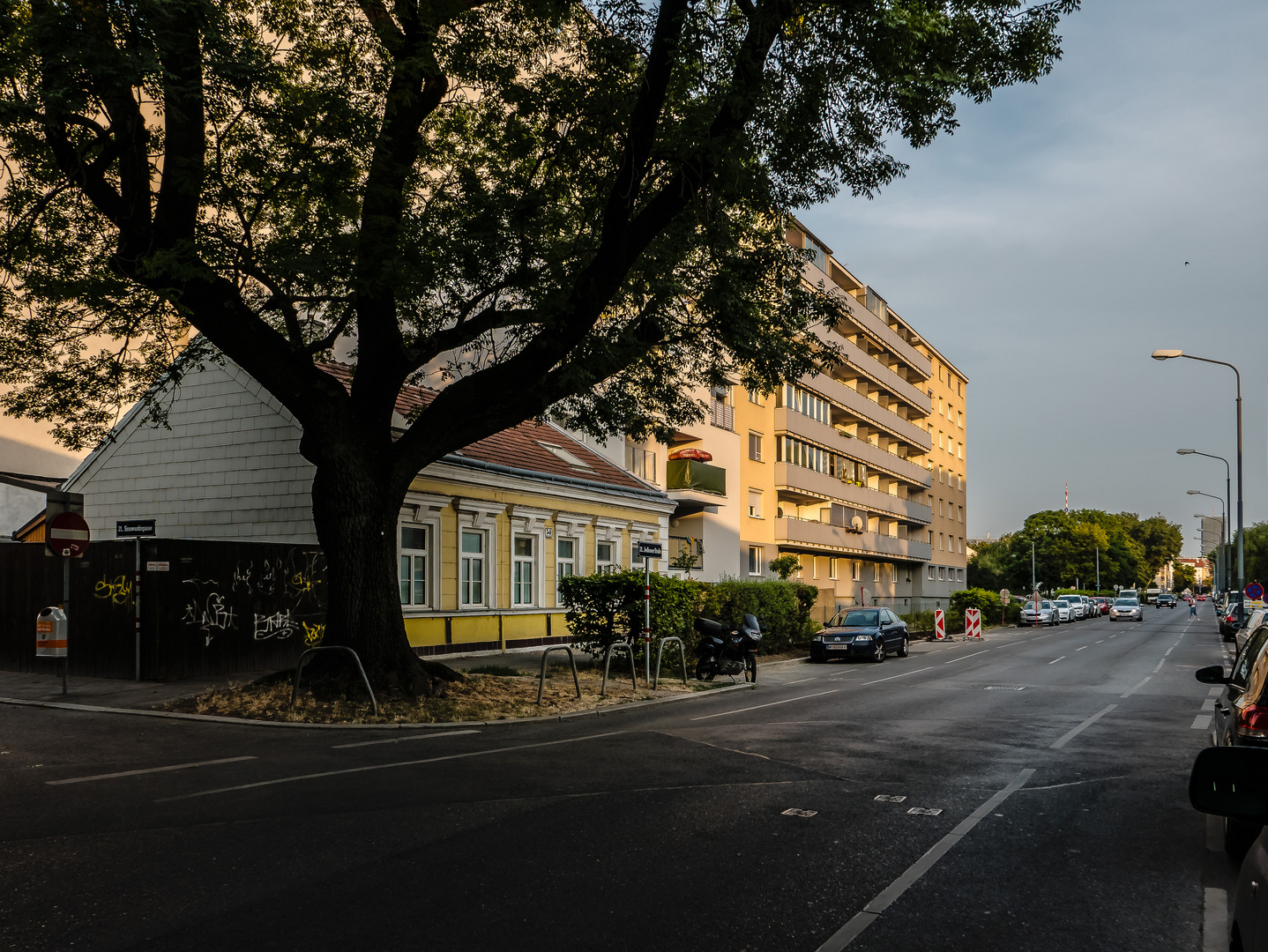 In den Straßen von Wien (65)