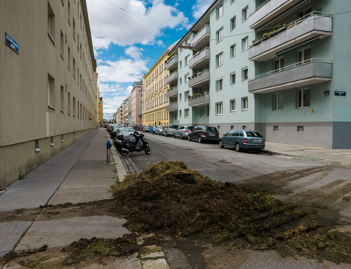 In den Straßen von Wien (87) 