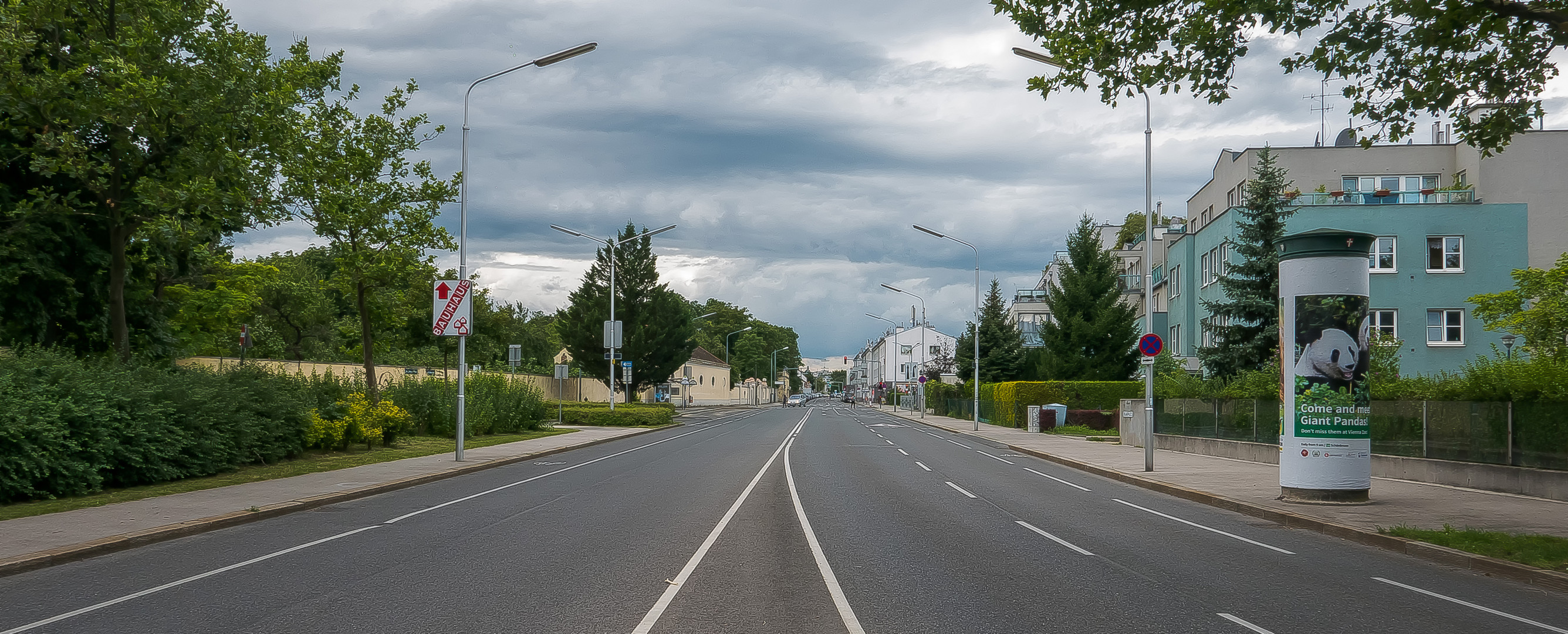 In den Straßen von Wien (90) 