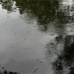 In den Teich geregnet
