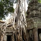In den Tempelanlagen von Angkor 1