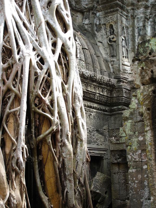 In den Tempelanlagen von Angkor 3