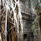 In den Tempelanlagen von Angkor 3