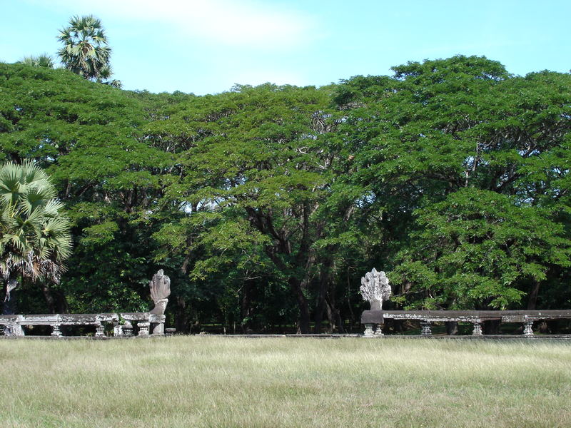 In den Tempelanlagen von Angkor 6