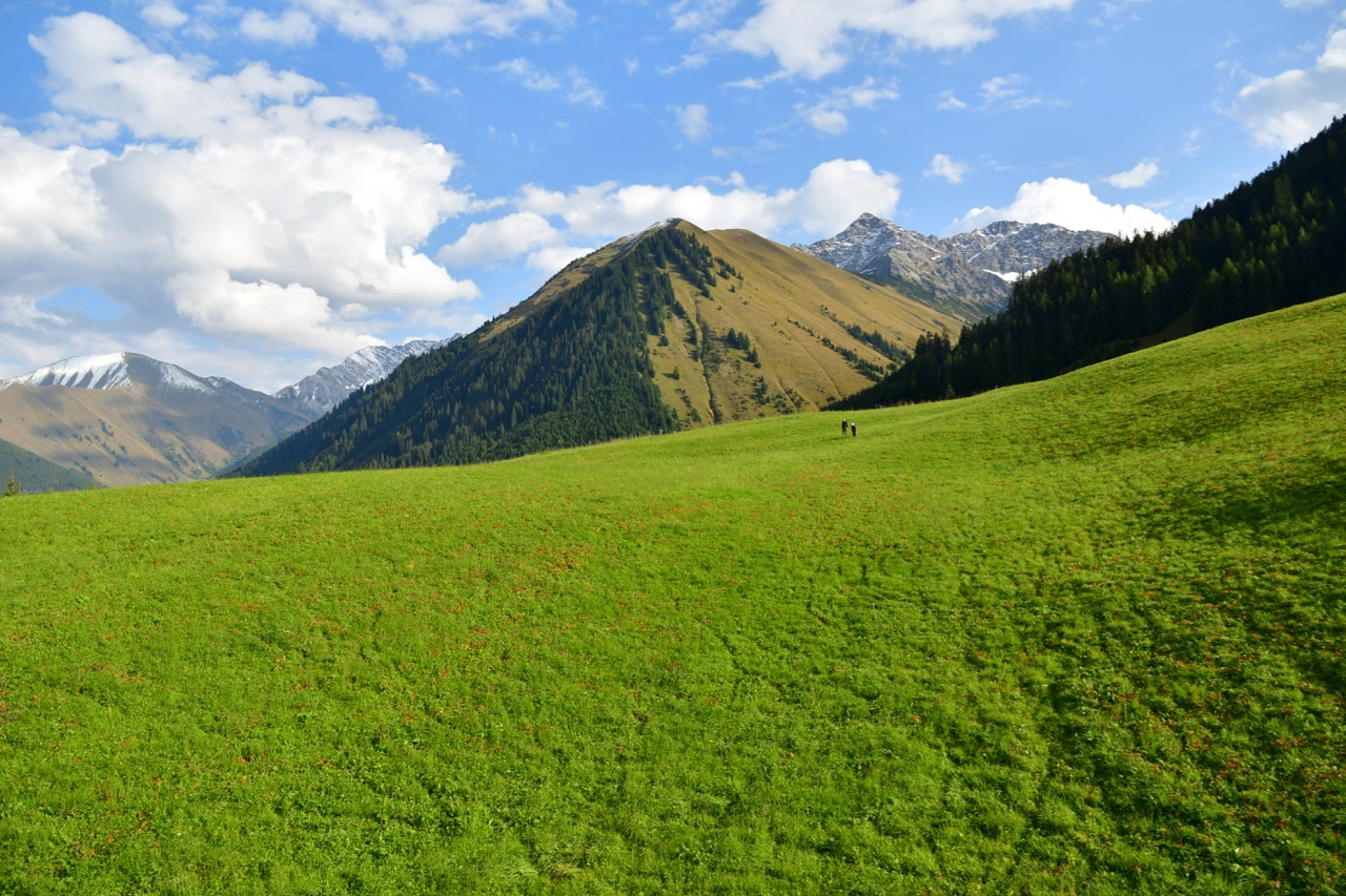 In den Tiroler Alpen