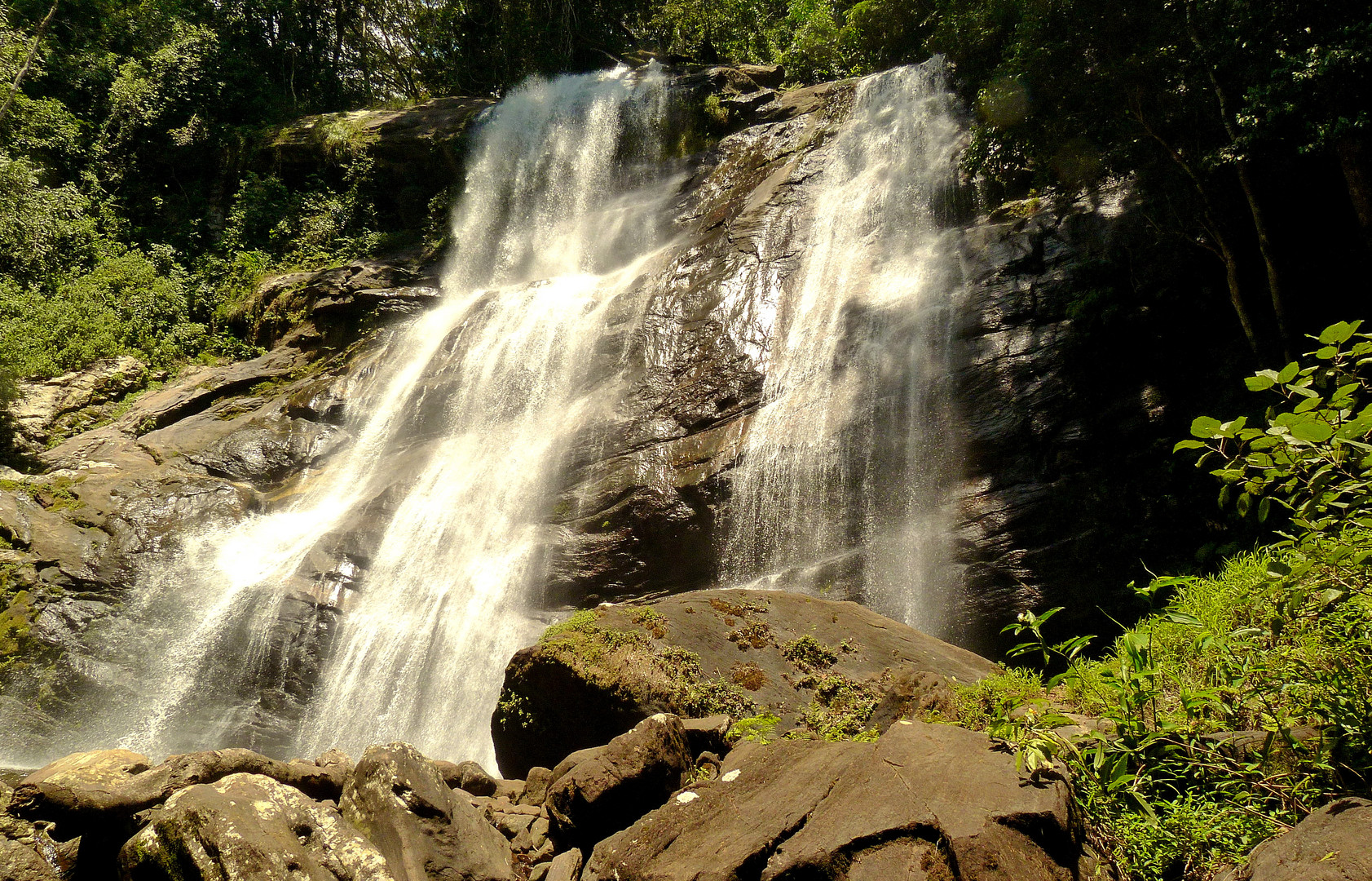 in den Udzungwa-mountains..