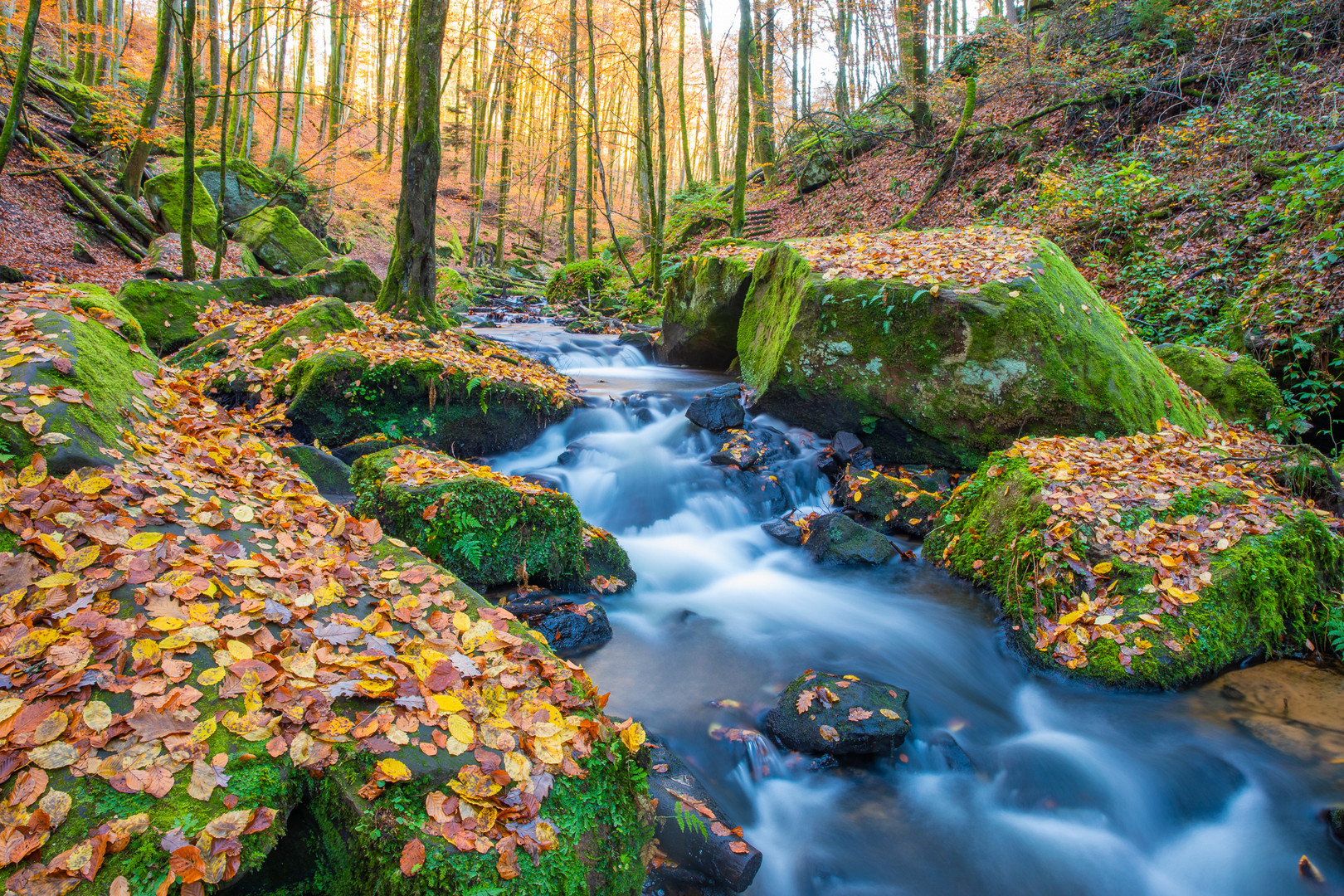 In den urigen Karlstalschlucht