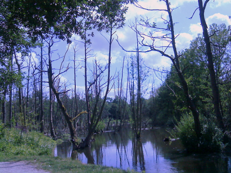 In den Venn-Auen an der Schwalm