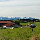 In den Voralpen