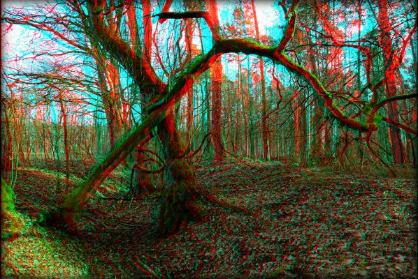 Anaglyphen Bilder & Fotos