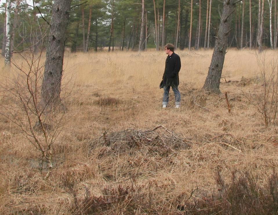 In den Wald hinein horchen