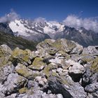 in den Walliser Alpen (Val Ferret)