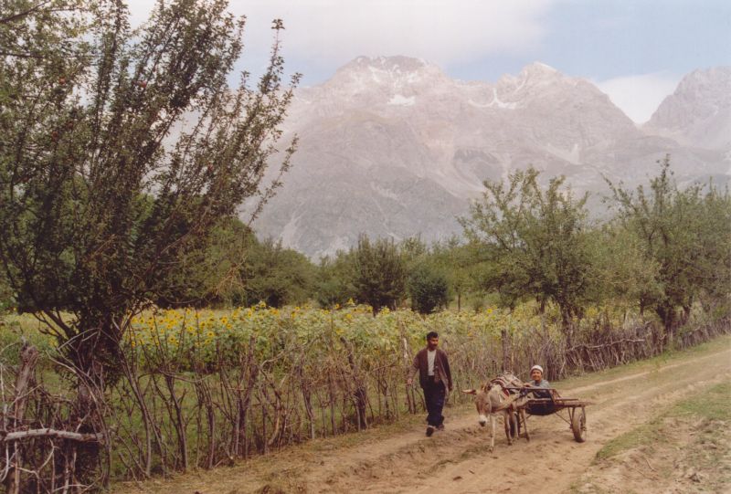 In den Walnusswäldern bei Arslanbob