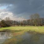 In den Walsumer Rheinauen