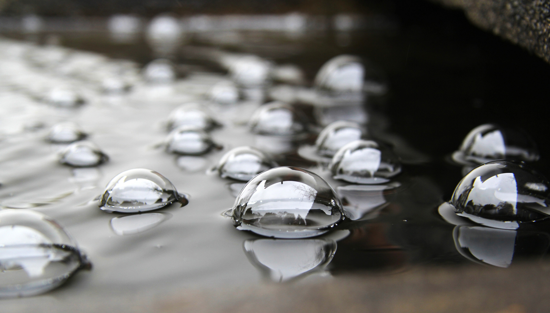 In den Wasserblasen spiegelt's sich