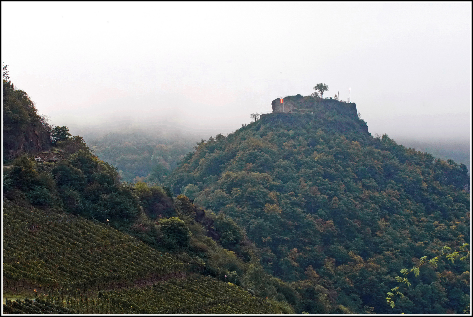 In den Weinbergen der Ahr