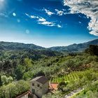 In den Weinbergen der Toscana