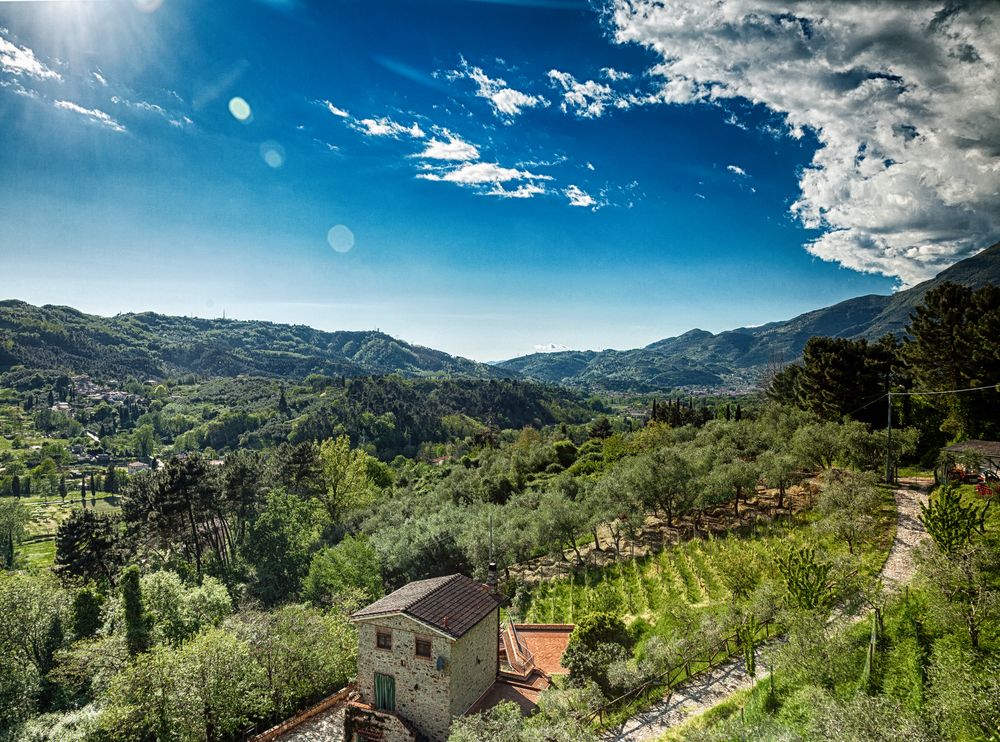 In den Weinbergen der Toscana
