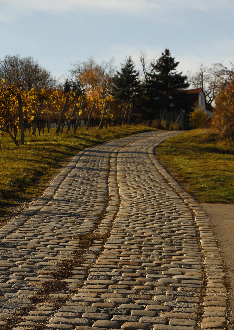 _In den Weinbergen