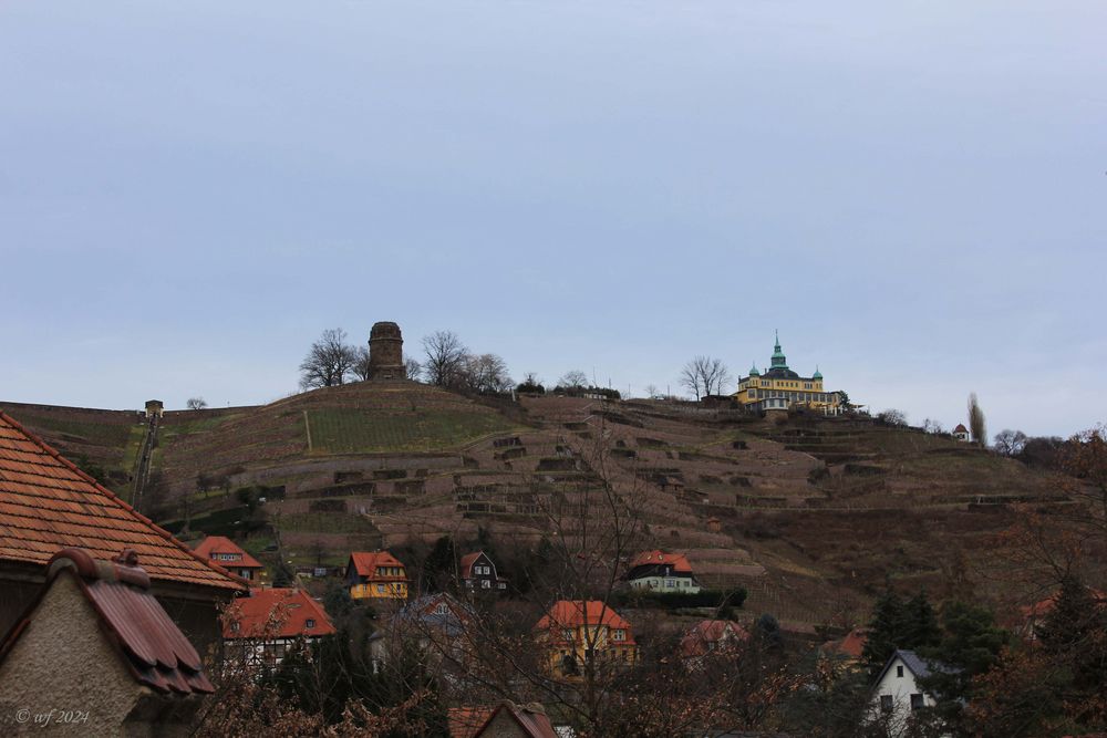 In den Weinbergen