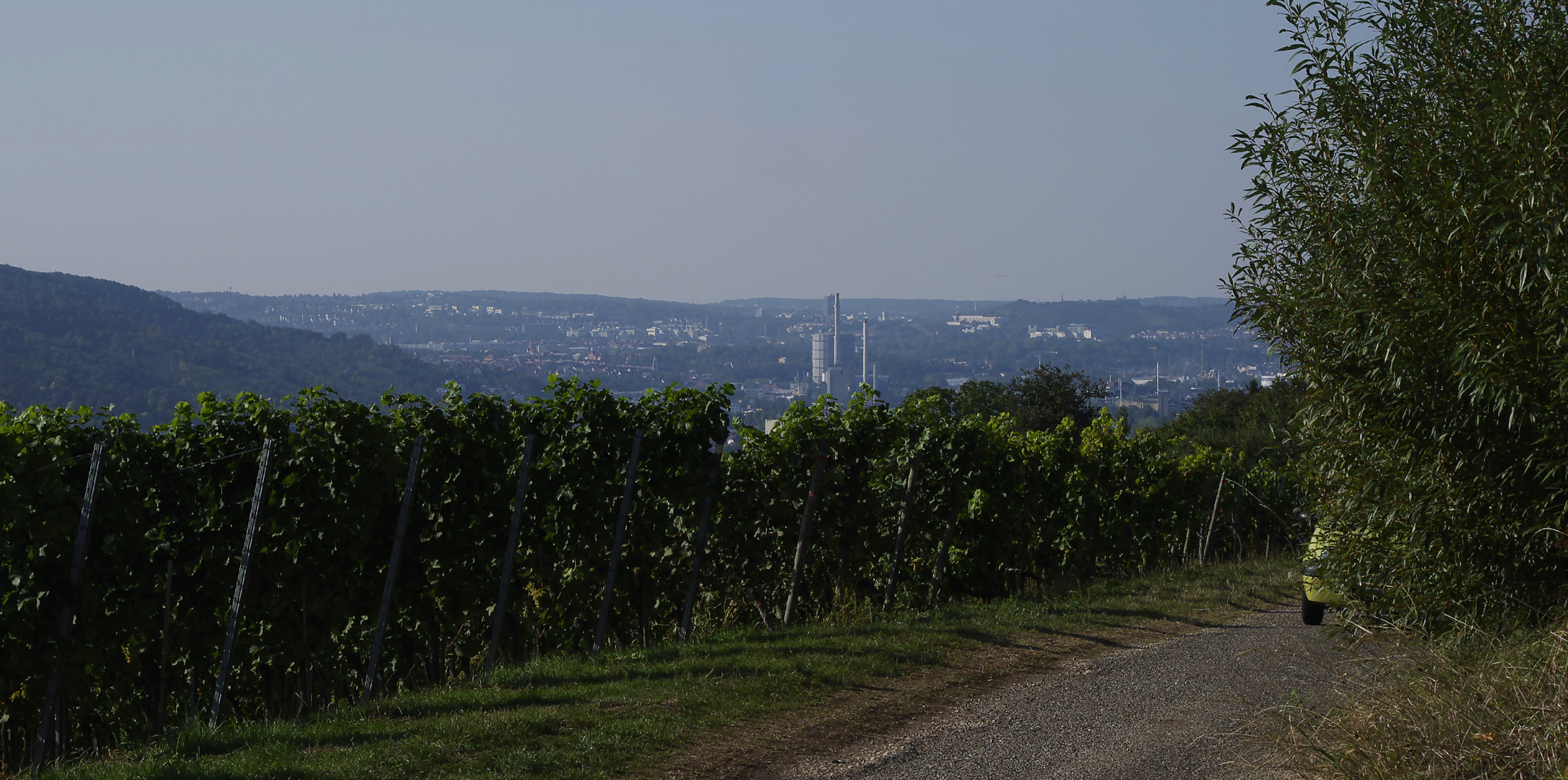 in den Weinbergen, Ende Sept. 2016