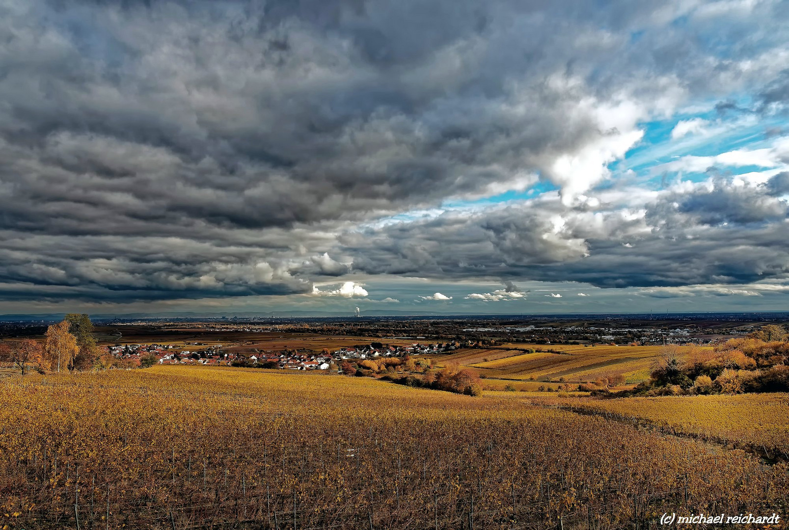 In den Weinbergen oberhalb von Kallstadt