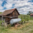 in den Weinbergen unterwegs