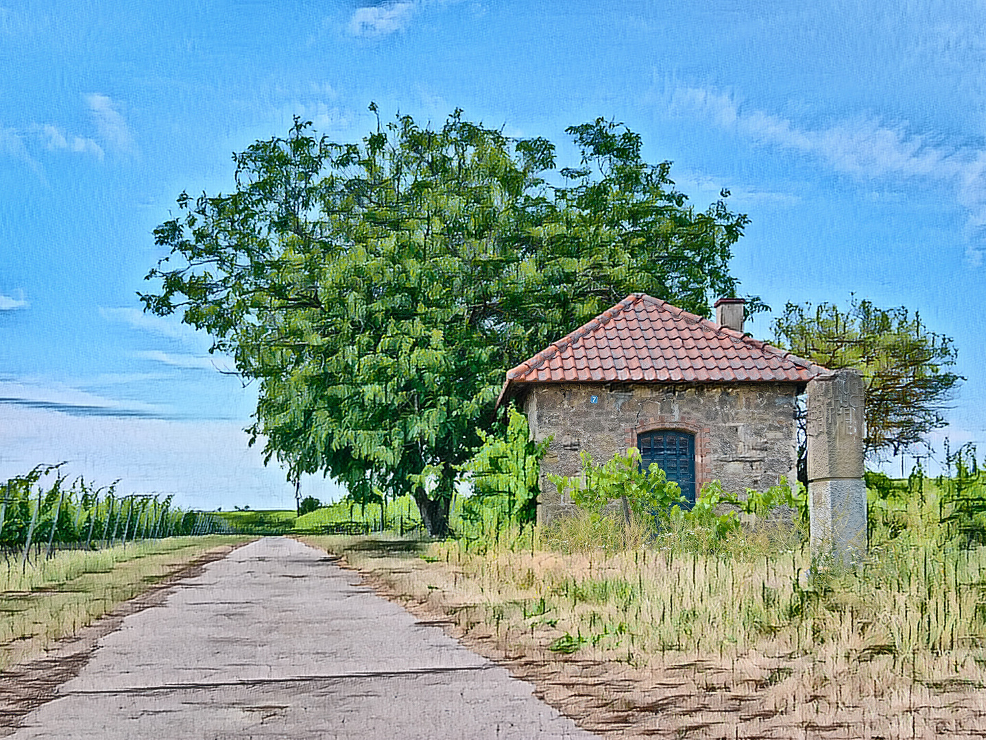 In den Weinbergen von Alzey