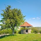 In den Weinbergen von Alzey