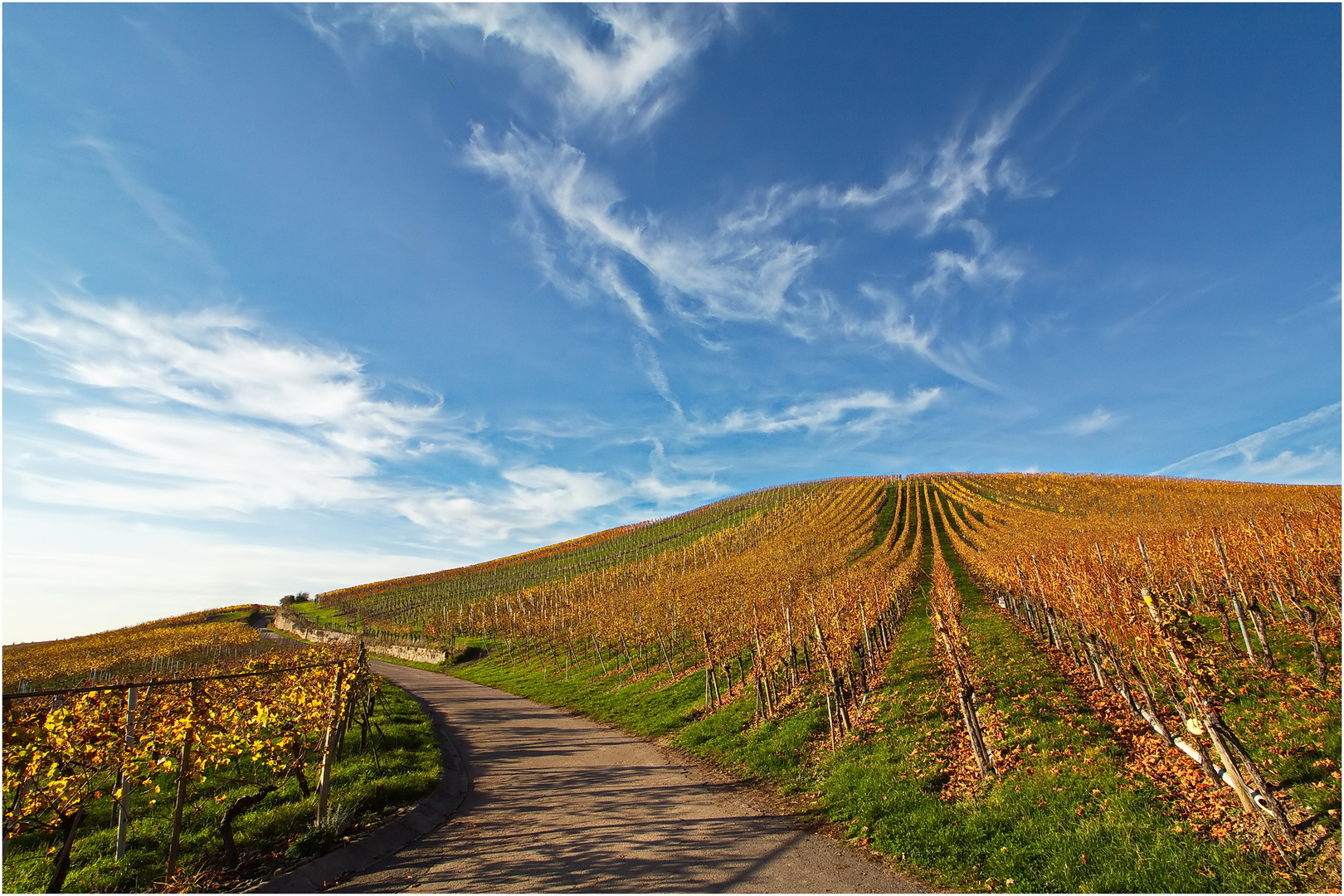 In den Weinbergen von Heilbronn