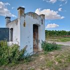 In den Weinbergen von Monsheim