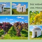 In den Weinbergen von Monsheim