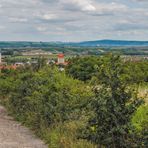 In den Weinbergen von Retz (3) 