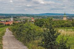 In den Weinbergen von Retz (3) 