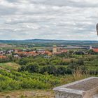 In den Weinbergen von Retz (4) 