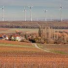 In den Weinbergen von Spiesheim