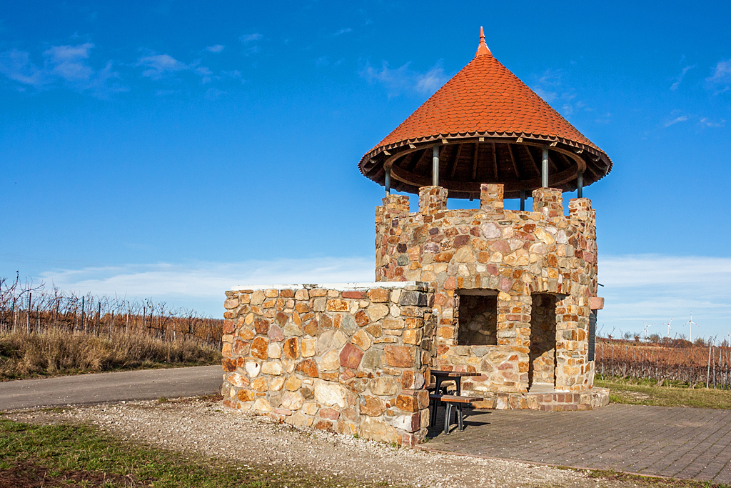 In den Weinbergen von Spiesheim