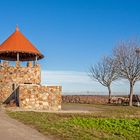 In den Weinbergen von Spiesheim