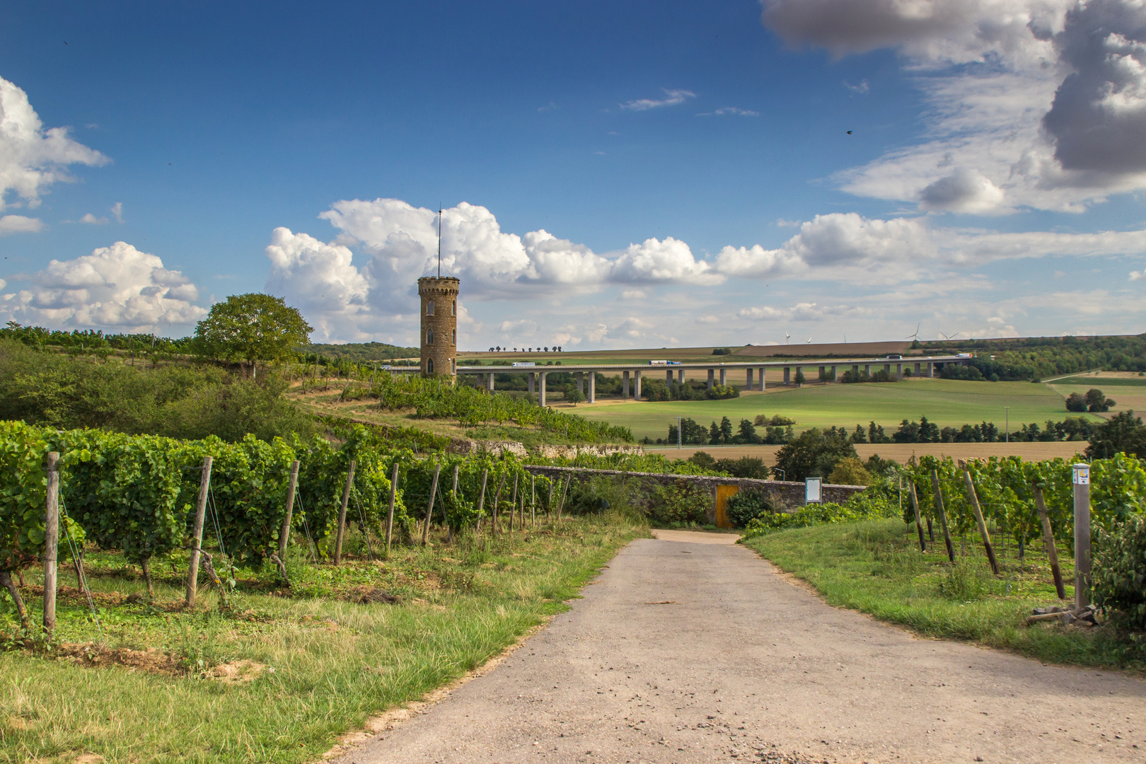 In den Weinheimern Weinbergen