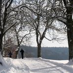 In den Westlichen Wäldern