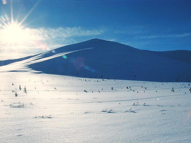 In den White Mountains (Zentralalaska)